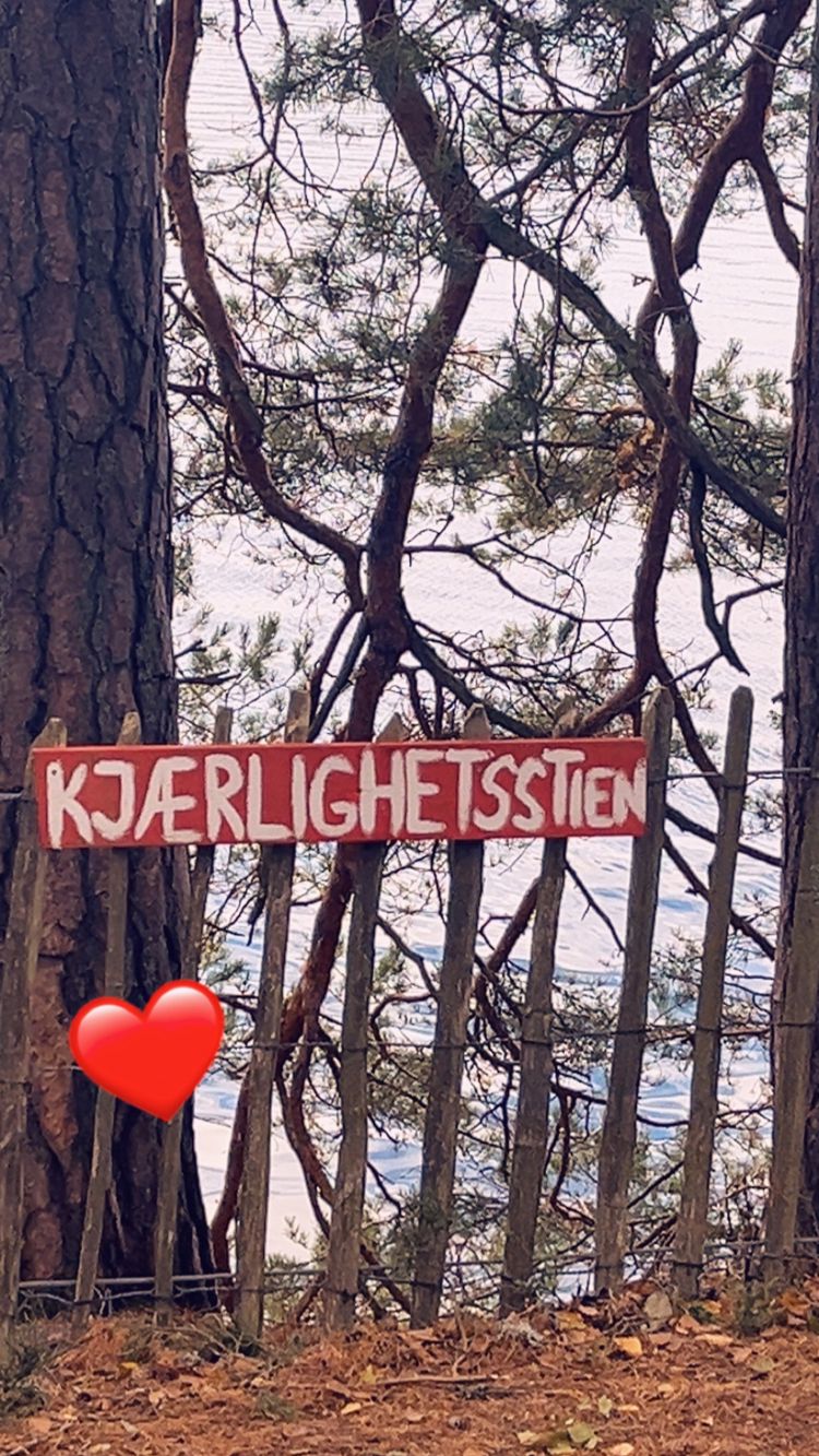 Et skilt i skogen Et skilt i skogen