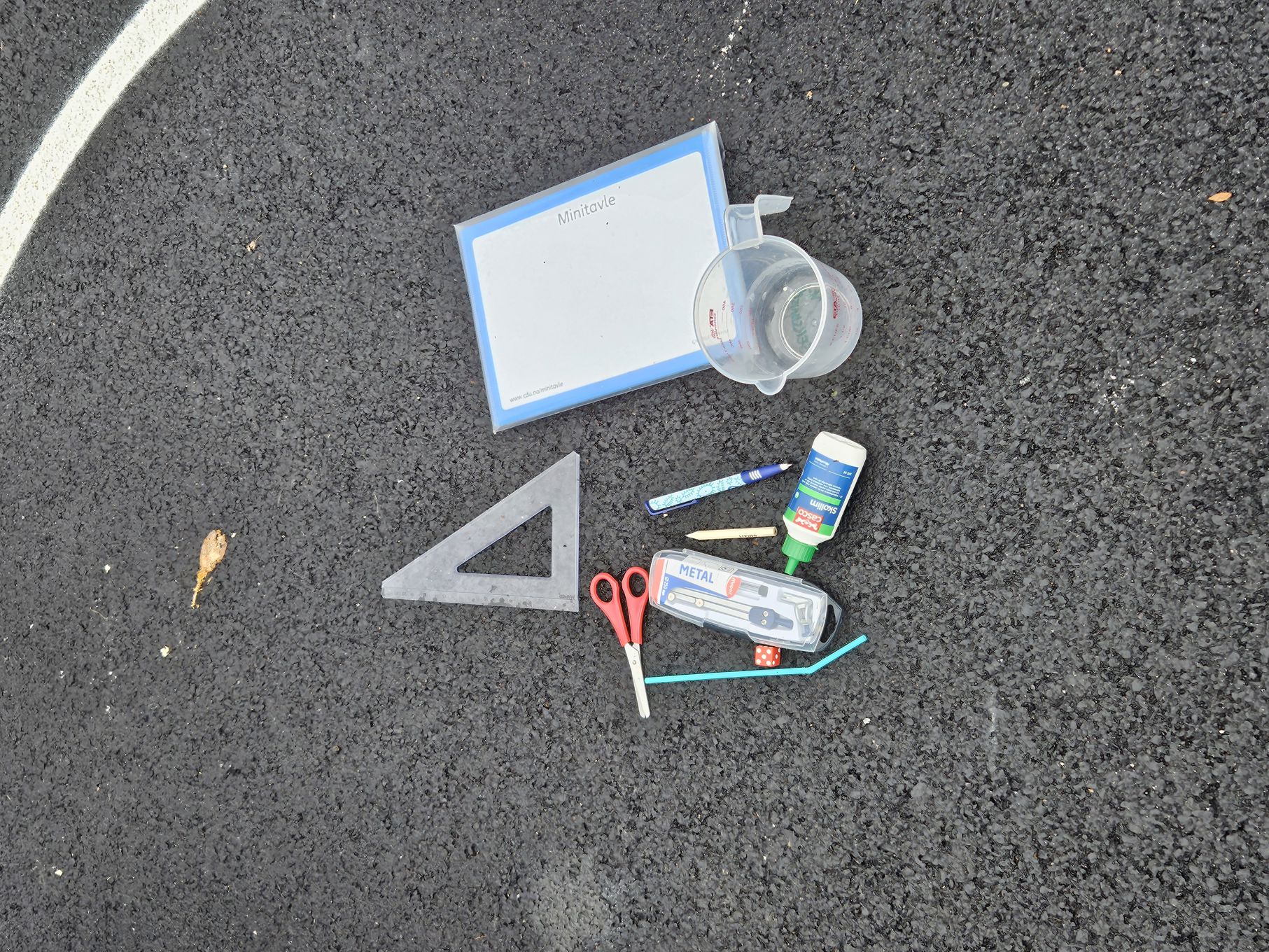 Foto: K. Teslo Kims lek